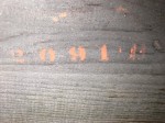 Date stamp on case bottom: 2019 D, meaning April 1902.