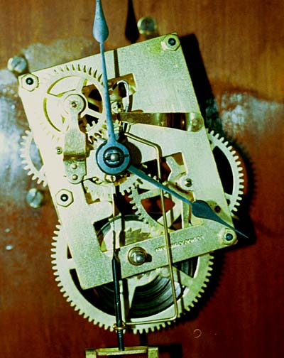 4449-movt-1.jpg
